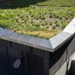 FONDALINE green roof
