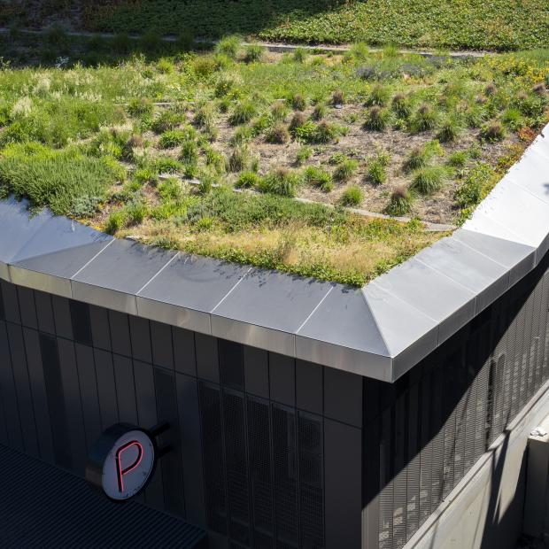FONDALINE green roof